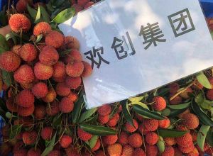 夏日好“枝”味，歡創集團發?！袄蟆崩?></div>
                                <div   id=